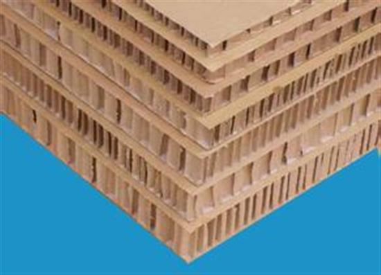 公司參加外資企業,蜂窩紙制品龍頭企業,廣州高新技術企業